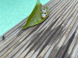 Tahitian pearl earrings on leather, solid silver