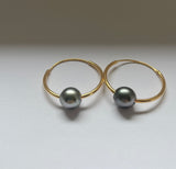 Jolies perles de Tahiti sur créoles en or gold filled, boucles d'oreilles intemporelles, élégantes et minimalistes
